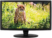 Vendita Online <br><br>NEC LCD 22" a prezzo speciale